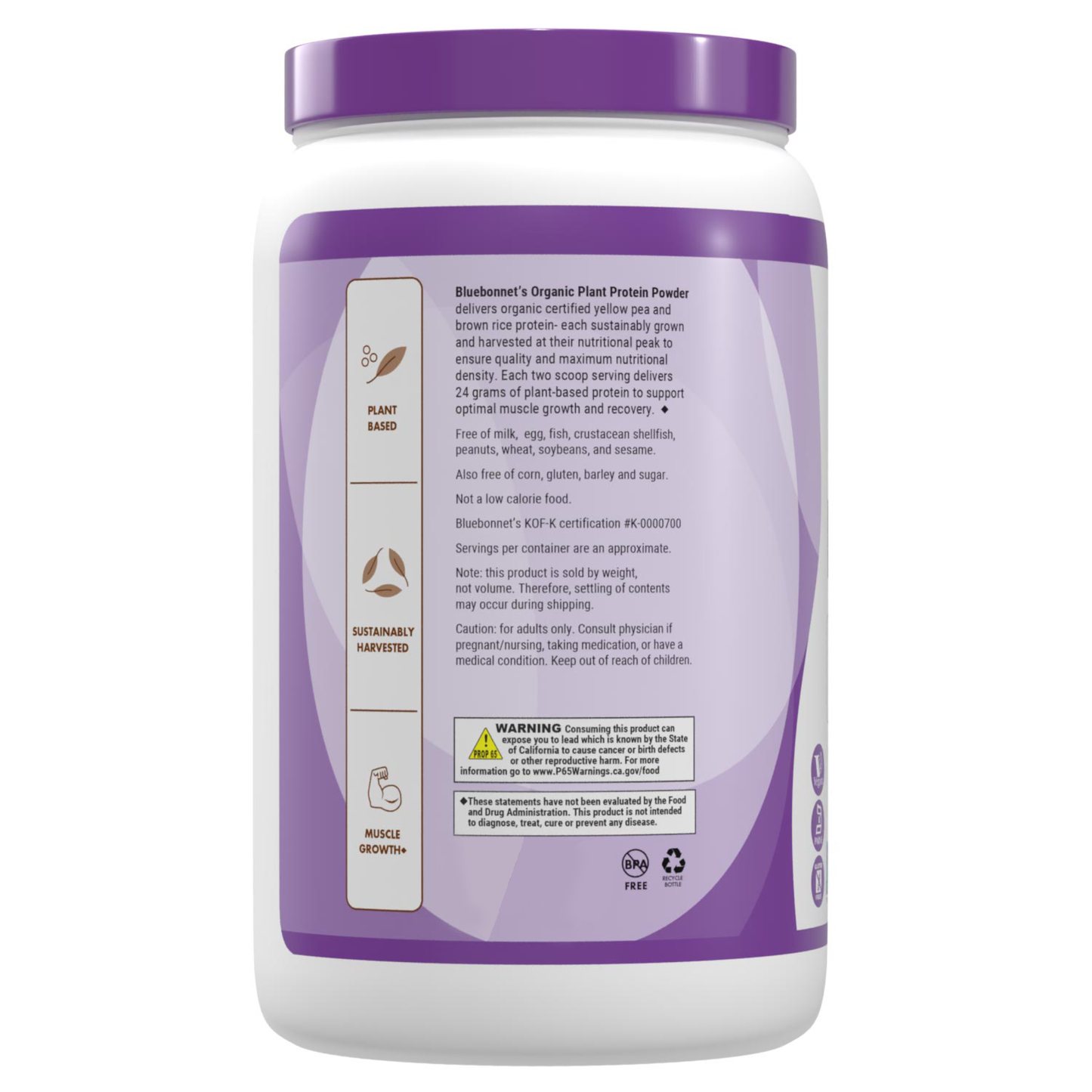 BODRAX ORGANIC PLANT PROTEIN POWDER